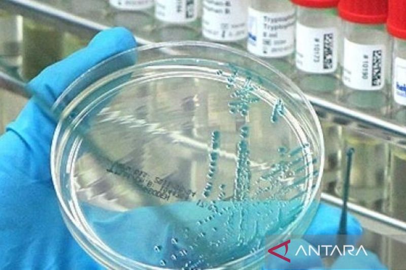 Wabah Flu Burung Australia: Mitigasi Risiko Kredit dan Strategi Penagihan Utang Bisnis Lintas Negara
